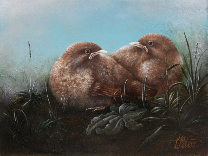 Twee jonge merels